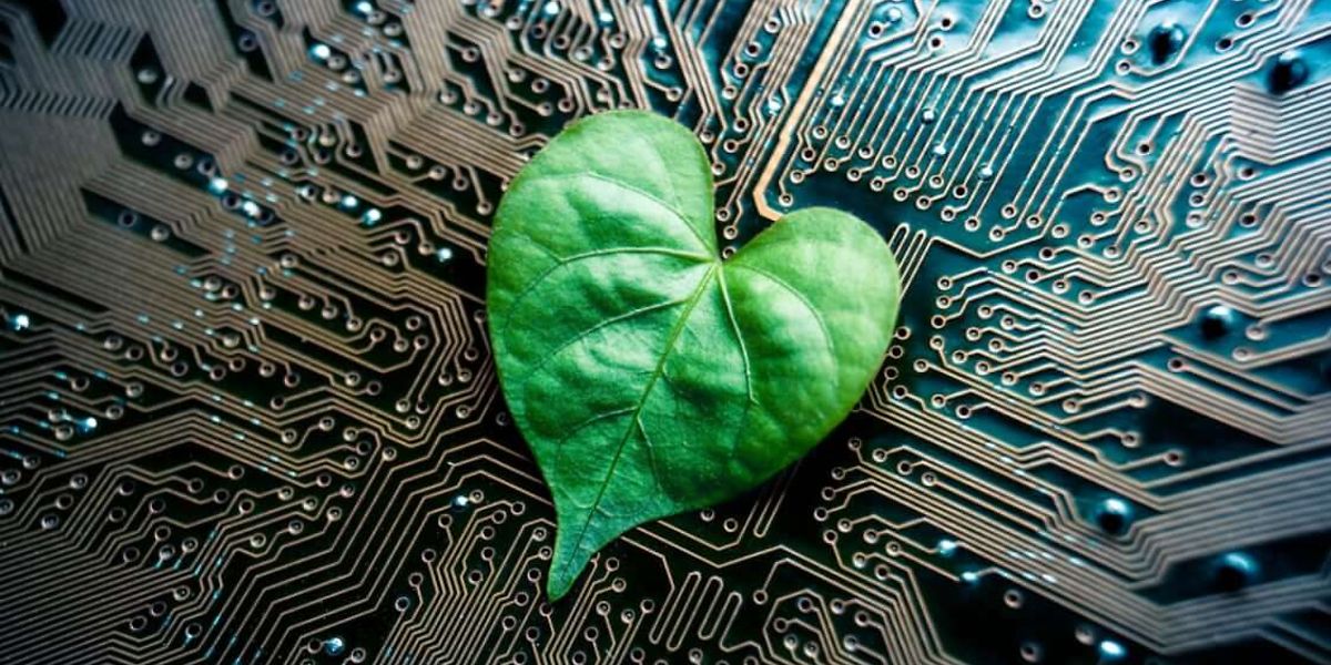 leaf in heart shape 