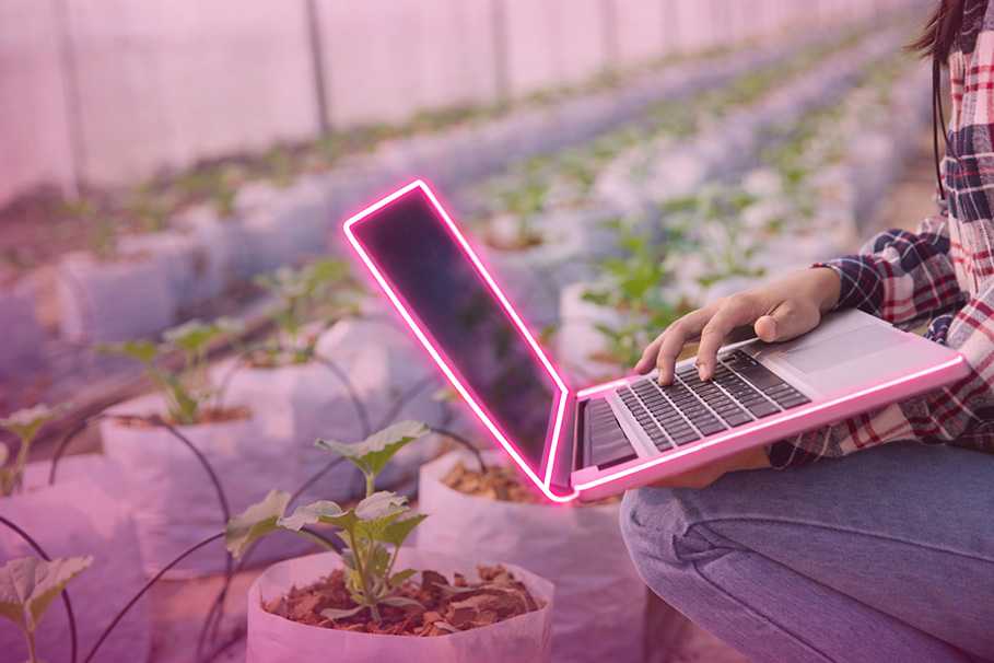 redes privativas agronegócio